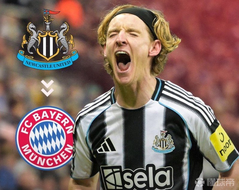 德天空：戈登是拜仁左边锋引援头号目标，转会费至少6000万欧