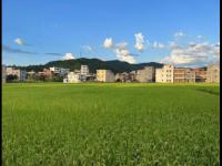 北京理工大学迎新网